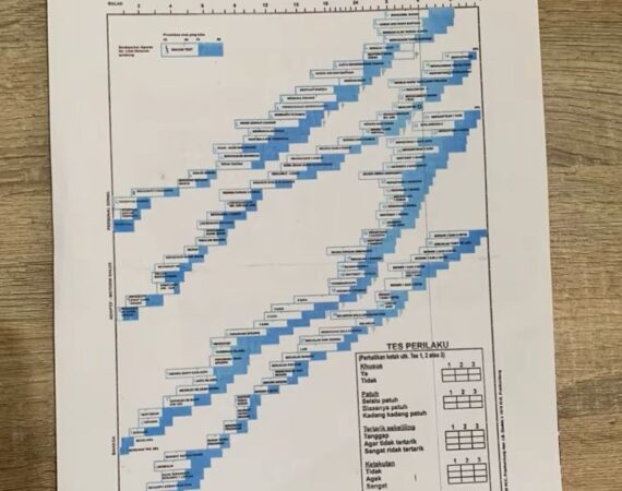 WhatsApp-Image-2025-07-10-at-08.12.27-1